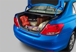 “芯”动之旅——速锐车主春节归来谈感受